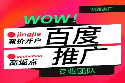 百度竞价托管公司案例：揭秘广告投放成功秘诀